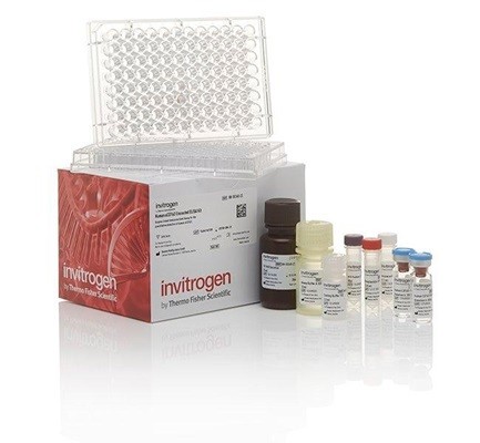 Mouse Th1/Th2  Uncoated ELISA Kit